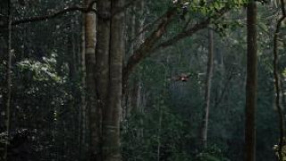 Кадр з фільму Гея