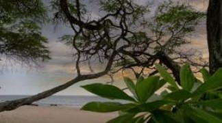 Кадр з фільму Блакитна лагуна: Пробудження