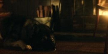 Кадр з фільму Тоґо