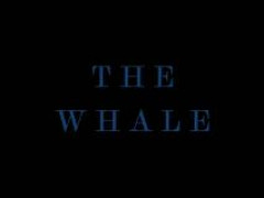 Кадр з фільму Кит