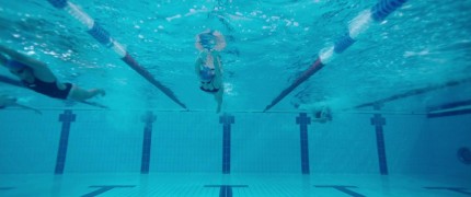 Кадр з фільму Хижаки