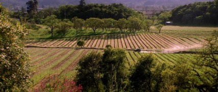 Кадр з фільму Весільний переполох