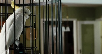 Кадр з фільму Кохання трапляється