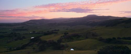 Кадр з фільму Покерфейс