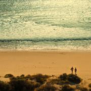 Кадр з фільму Серфер