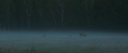 Кадр з фільму Як прогуляти школу з користю