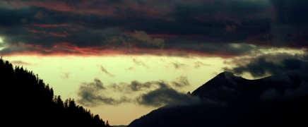 Кадр з фільму Комашки: Пригода у Долині Мурах