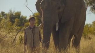 Кадр з фільму Проти природи: Велика подорож слонів