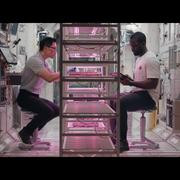 Кадр з фільму Далекий космос