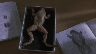 Кадр з фільму Мамині хлопчики