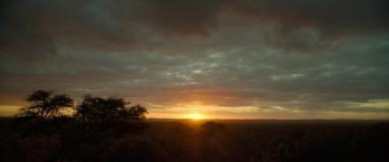 Кадр з фільму Звір