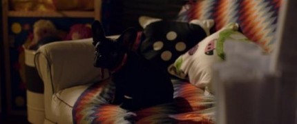 Кадр з фільму Хто там