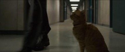 Кадр з фільму Капітан Марвел