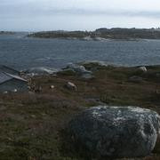 Кадр з фільму Вага води