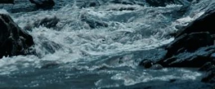 Кадр з фільму Джунглі