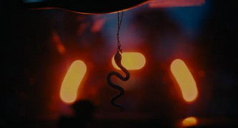 Кадр з фільму Дикунка