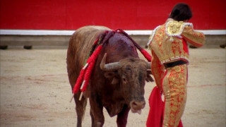 Кадр з фільму Американо