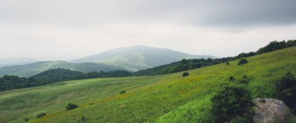 Кадр з фільму Лісова прогулянка