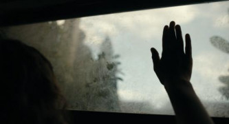 Кадр з фільму Дикунка