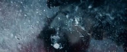 Кадр з фільму Джунглі