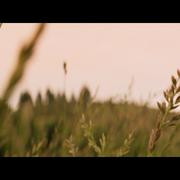 Кадр з фільму Наодинці зі смертю