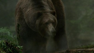 Кадр з фільму У лабіринті грізлі