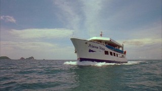 Кадр з фільму Клуб страху