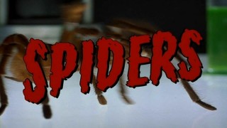 Кадр з фільму Павуки