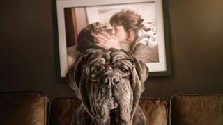 Кадр з фільму Мій пес Ідіот