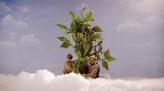 Кадр з фільму Джек і бобова стеблина