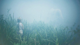 Кадр з фільму Коли падають дерева