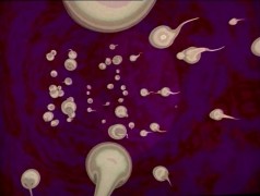 Кадр з фільму Майже вагітна