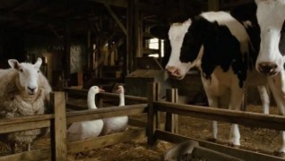 Кадр з фільму Павутиння Шарлотти