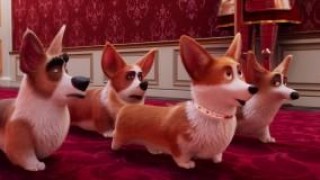 Кадр з фільму Королівський коргі