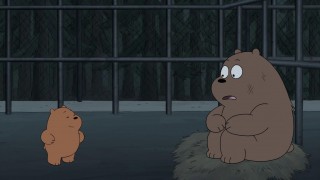 Кадр з фільму Ми звичайні ведмеді. Фільм