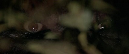 Кадр з фільму Срібна куля