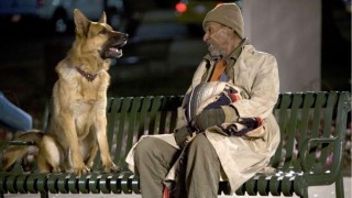 Кадр з фільму Крутий пес