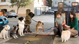 Кадр з фільму Готель для собак