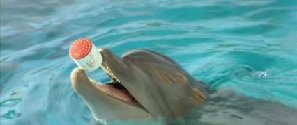 Кадр з фільму Блакитна безодня