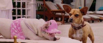 Кадр з фільму Крихітка з Беверлі-Гіллз