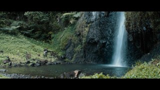 Кадр з фільму Дикун