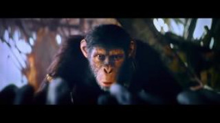 Кадр з фільму Королівство планети мавп