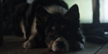 Кадр з фільму Зворотна тяга 2