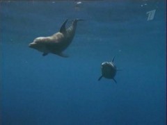 Кадр з фільму Бермудський трикутник