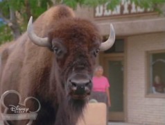 Кадр з фільму Земля бізонів