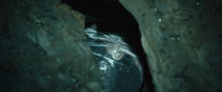 Кадр з фільму Нічний будинок