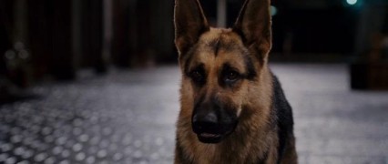 Кадр з фільму Крихітка з Беверлі-Гіллз