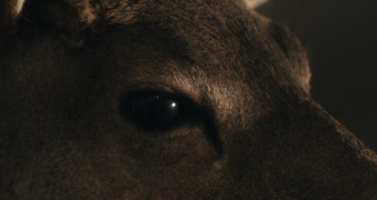 Кадр з фільму Їдьте назад