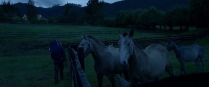 Кадр з фільму Кокаїновий барон