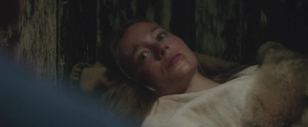 Кадр з фільму Кров вікінгів